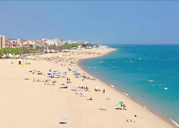 Готель Kaktus Kaktus Playa (adults Only)