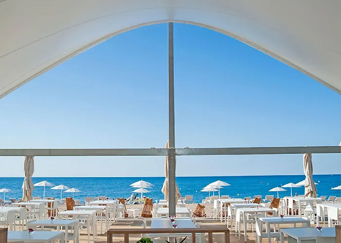 Kaktus Kaktus Playa (adults Only) Calella