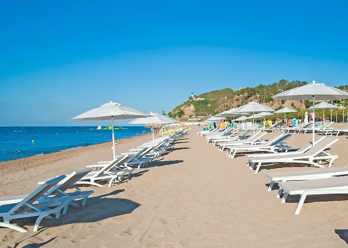 Hotel Kaktus Kaktus Playa (adults Only)